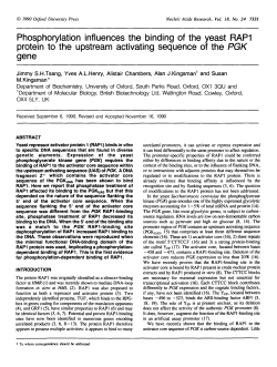 Phosphorylation influences the binding of the