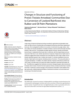 Changes in Structure and Functioning of Protist (Testate Amoebae
