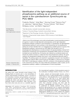 Identification of the light-independent phosphoserine