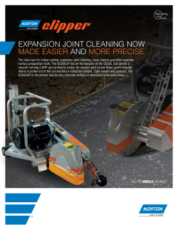 EXPANSION JOINT CLEANING NOW MADE EASIER AND MORE