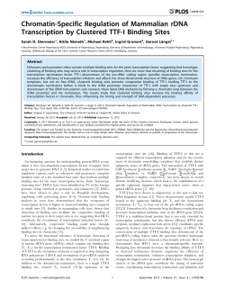 Chromatin-Specific Regulation of Mammalian rDNA Transcription by