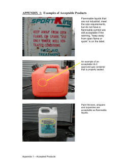 APPENDIX 1: Examples of Acceptable Products
