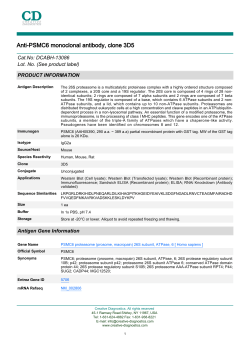 Anti-PSMC6 monoclonal antibody, clone 3D5