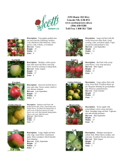 Apple Tree Varieties List
