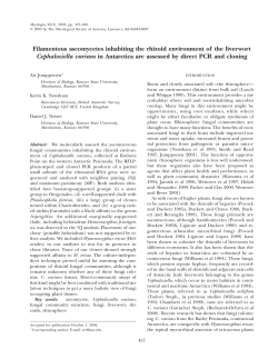 Filamentous ascomycetes inhabiting the rhizoid environment of the