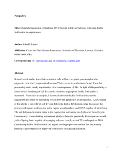 PDF only - at www.arxiv.org.