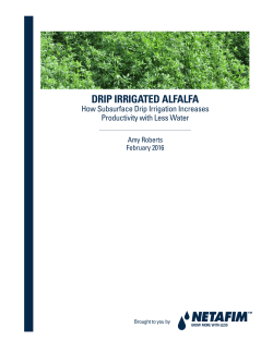DRIP IRRIGATED ALFALFA