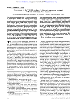 c-kit proto-oncogene product