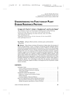 understanding the functions of plant disease resistance proteins