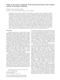 Origin of the Genetic Components of the Vomeronasal System in the