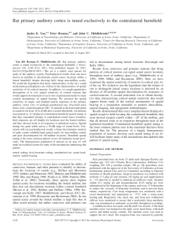 Rat primary auditory cortex is tuned exclusively to the