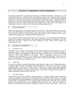 Laboratory 27 - Magnoliophyta: Vegetative Morphology IV The