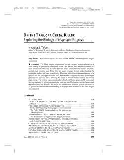 Exploring the Biology of Magnaporthe grisea