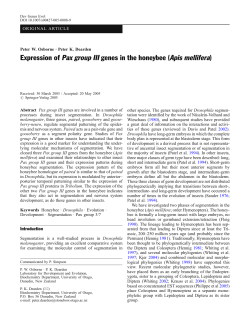 Expression of Pax group III genes in the honeybee (Apis mellifera)