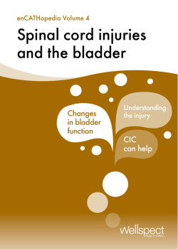 Spinal cord injuries and the bladder