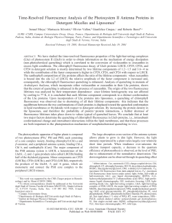 Time-Resolved Fluorescence Analysis of the Photosystem II