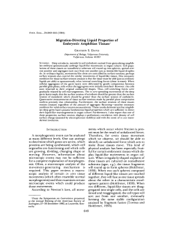 Migration-Directing Liquid Properties of Embryonic Amphibian