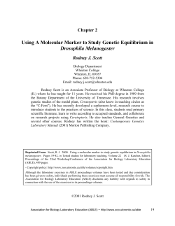 Using A Molecular Marker to Study Genetic Equilibrium in