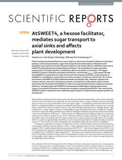 AtSWEET4, a hexose facilitator, mediates sugar transport to