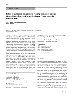 Effect of auxins on adventitious rooting from stem cuttings of