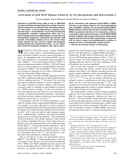 Activation of p38 MAP Kinase Pathway by
