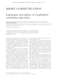 Lagrangian description of zooplankton swimming trajectories