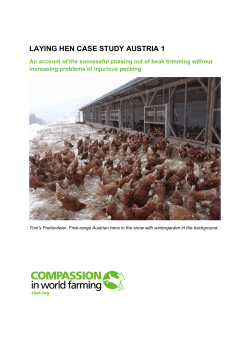 LAYING HEN CASE STUDY AUSTRIA 1