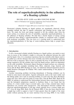 The role of superhydrophobicity in the adhesion of a floating cylinder