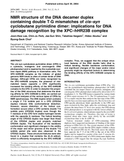 NMR structure of the DNA decamer duplex containing double TґG