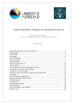 1 Study model Joint Bachelor in Animal Science