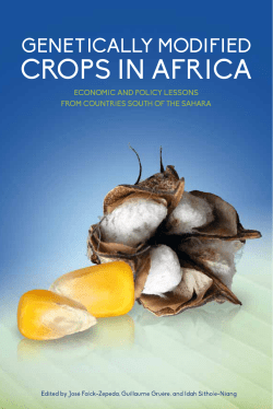 Genetically Modified Crops in Africa