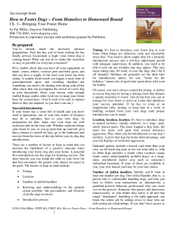 How to Foster Dogs &ndash; From Homeless to Homeward Bound