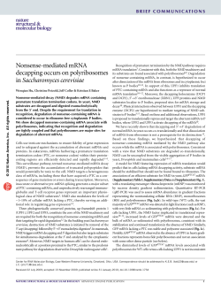 Nonsense-mediated mRNA decapping occurs on polyribosomes in