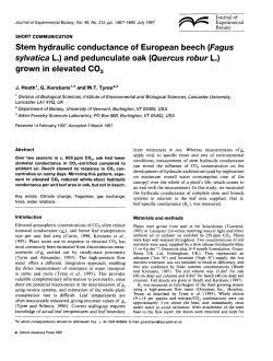 Stem hydraulic conductance of European beech