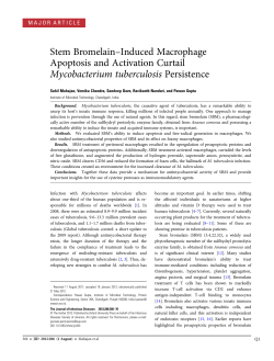 Stem Bromelain&ndash;Induced Macrophage Apoptosis