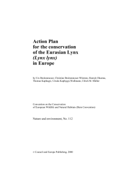 Action Plan for the conservation of the Eurasian Lynx