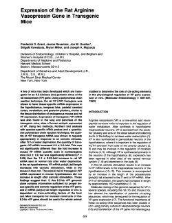 Expression of the rat arginine vasopressin gene in transgenic mice.