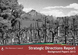 Strategic Directions Report