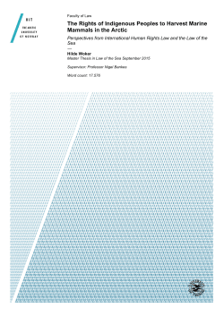 The Rights of Indigenous Peoples to Harvest Marine Mammals in