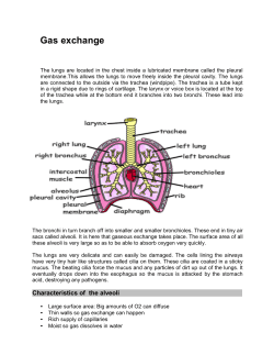 Gas exchange