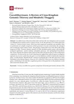 Coccolithoviruses: A Review of Cross