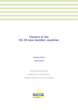 Clusters in the EU-10 new member countries