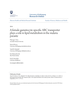 A female-gametocyte-specific ABC transporter plays a role in lipid