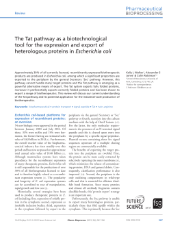 The Tat pathway as a biotechnological tool for the expression and