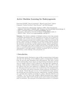 Active Machine Learning for Embryogenesis