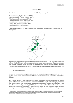 SURF CLAMS - NZ Fisheries