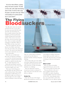 The Flying Bloodsuckers