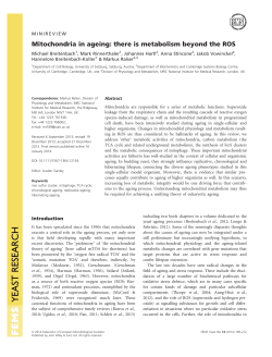 Mitochondria in ageing: there is metabolism beyond the ROS