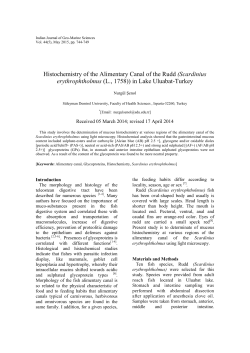 Histochemistry of the Alimentary canal of the Garra rufa