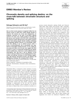 Chromatin density and splicing destiny: on the cross-talk